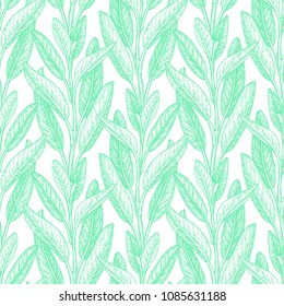 Seamless pattern. Sage ink sketch on white background. Hand drawn vector illustration of salvia. Retro style.