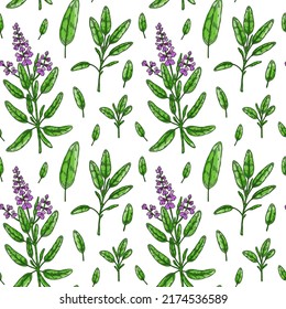 Patrón sin foco con hojas de salvia y flores. Verdes dibujados a mano y verduras de hojas. Ilustración vectorial en el estilo de esbozo de color