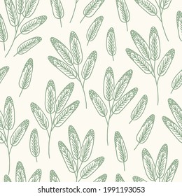 Seamless pattern with sage on beige background. Perfect for menu, fabric, wallpaper, culinary books. Contour vector illustration