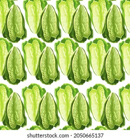 Seamless pattern salad Romano on white background.Ornament with lettuce. Geometrical plant template for fabric. Design vector illustration.