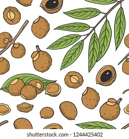 Seamless pattern of Sapindus mukorossi (soap nuts, soapberry, washnut). Vector illustration. Medicinal plant.