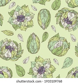 Seamless pattern with saussurea laniceps: plant, snow lotus flowers and leaves. Limnanthes alba. Cosmetic and medical plant. Vector hand drawn illustration