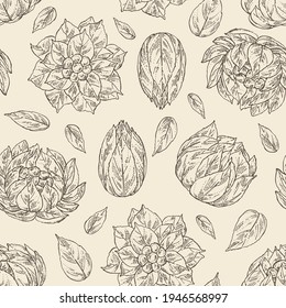 Seamless pattern with saussurea laniceps: plant, snow lotus flowers and leaves. Limnanthes alba. Cosmetic and medical plant. Vector hand drawn illustration
