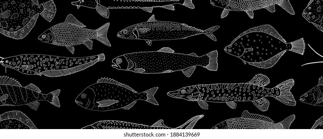 Seamless pattern of school fish, hand drawn. White contour of sea and river fish on black background. Vector illustration.