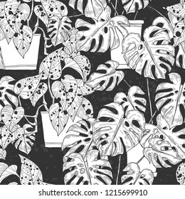 Seamless pattern with  Scindapsus aureus Eagler and  Monstera  in pots on black background. Vector monochrome illustration.
