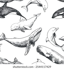 Patrón sin fisuras con animales marinos sobre un fondo blanco. Dibujado a mano boceto de Vector en técnica de grabado. Ballena de esperma, ballena jorobada, delfín, ballena beluga, ballena asesina. Dibujo de tinta monocromática.