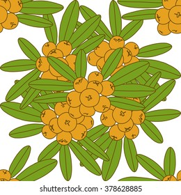 Seamless pattern of sea buckthorn
