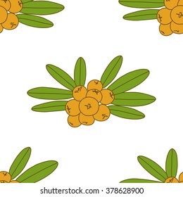 Seamless pattern of sea buckthorn
