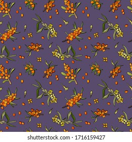 Seamless pattern of sea buckthorn berries on a purple background. Cartoon style. 