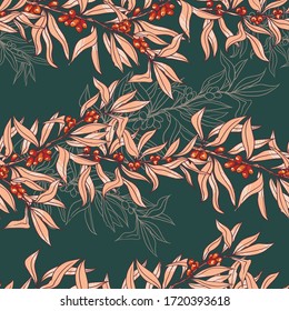 Seamless pattern of sea buckthorn branches. Design for fabric, textile, paper, packaging. The plant is suitable for food, cooking oil, cosmetic and medicinal products.  Vector graphics.