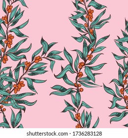 Seamless pattern of sea buckthorn branches. Design for fabric, textile, paper, packaging. The plant is suitable for food, cooking oil, cosmetic and medicinal products.  Vector graphics.