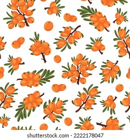 Seamless pattern of sea buckthorn branches and berries white background. Beautiful print for textiles, wallpaper, packaging cartoon style.