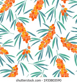 Seamless pattern with sea buckthorn on white background. Vector. Perfect for design templates, wallpaper, wrapping, fabric and textile.