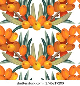 Seamless pattern of sea buckthorn. Vector background.