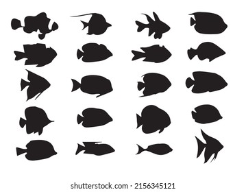 Seamless pattern sea fish fishing catch vector image.Seafood pattern sea creatures fish vector image.Sketch fishes seamless pattern etched ocean fish vector image.Sea and ocean fishes seamless pattern