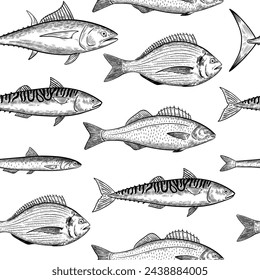 Seamless pattern with sea fishes species. Seafood fish. Vector illustration in black and white engraving style.