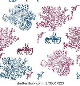 Seamless Pattern Sea Hand Drawing Zebra Fish, Seahorse And Crab, Corals, Vector Illustration On White Background Color Ink