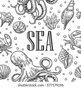 Seamless pattern sea shell, coral, crab, octopus and shrimp. Sea lettering. Vector black engraving vintage illustrations. Isolated on white background