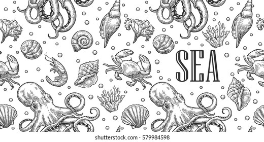 Seamless pattern sea shell, coral, crab, octopus and shrimp. Sea lettering. Vector black engraving vintage illustrations. Isolated on white background.