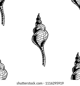 Seamless pattern from sea shells. Beautiful sea shell. Hand drawn large shell. Doodle ocean shell. 