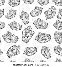 seamless pattern sea shells Cypraecassis is a genus of medium-sized to large sea snails, marine gastropod mollusks in the family Cassidae. Sketch black contour on white background. Vector