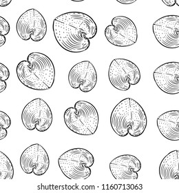 seamless pattern sea shells rare endangered species, Cardiidae bivalve molluscs Gastropoda Corculum cardissa or the heart cockle Indo-Pacific region. Sketch black contour on white background. Vector