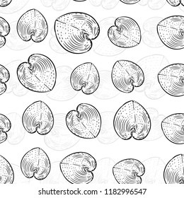 seamless pattern sea shells rare endangered species, Cardiidae bivalve molluscs Gastropoda Corculum cardissa or the heart cockle Indo-Pacific region. Sketch black contour on white background. Vector