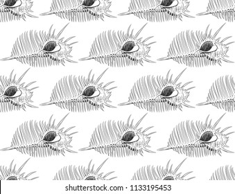 seamless pattern sea shells Venus comb Murex pecten, sea snail, marine gastropod mollusk in the family Muricidae Sketch black contour on white background. Vector