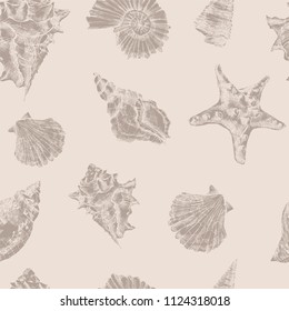 Seamless pattern with sea shells.Vector tropical sea shells. Seashell set isolated.Hand drawn illustrations of engraved line.Collection of sketches various mollusk sea shells different forms.