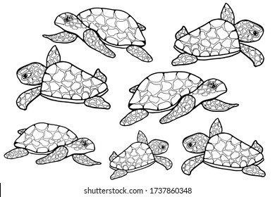 378 Turtle mom Images, Stock Photos & Vectors | Shutterstock