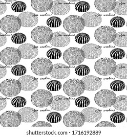 Seamless pattern of Sea Urchins and calligraphy. Hand-drawn monochrome collection of seashells. Vector illustration on a white background.