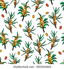 seamless pattern of a sea-buckthorn branch on a white background
