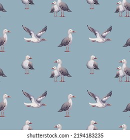 Seamless pattern with seagulls. Maritime, sea coast, marine life, nautical concept. Vector illustration.