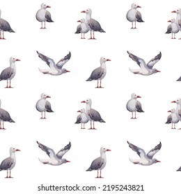 Seamless pattern with seagulls. Maritime, sea coast, marine life, nautical concept. Vector illustration.