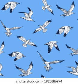 Seamless pattern. seagulls outlines. Hand drawn illustration converted to vector. 