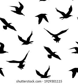 Seamless pattern. seagulls outlines. Hand drawn illustration converted to vector. 