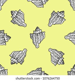Seamless pattern with seashells