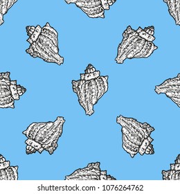 Seamless pattern with seashells