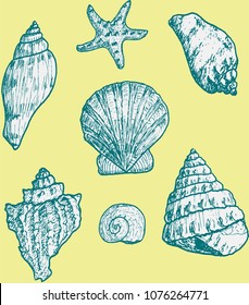 Seamless pattern with seashells
