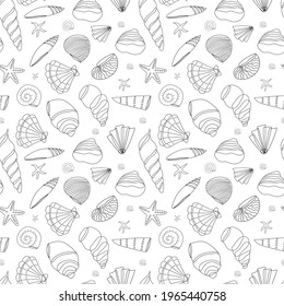Seamless pattern of seashells in a contour on a white background. Doodle illustration. Vector background. Wallpaper or background.