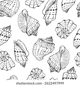 Padrão sem emenda com conchas. Ilustração de vetor desenhada à mão.