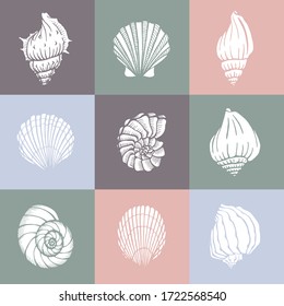 Seamless pattern with seashells. Marine background.  Perfect for greetings, invitations, manufacture wrapping paper, textile and web design.