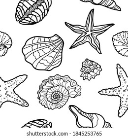 Adult Coloring Page Seashells Seahorse Starfish Stock Vector (Royalty ...