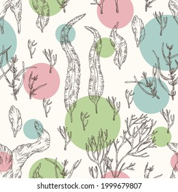 Seamless pattern with seaweed, algae: aonori, monostroma, sargassum fusiform, hijiki seaweed, kombu, laminaria japonica, ahnfeltia plicata. Green, brown and red algae. Edible seaweed. Vector hand