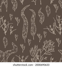 Seamless pattern with seaweed, algae: aonori, monostroma, sargassum fusiform, hijiki seaweed, kombu, laminaria japonica, ahnfeltia plicata. Green, brown and red algae. Edible seaweed. Vector hand