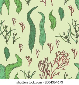 Seamless pattern with seaweed, algae: aonori, monostroma, sargassum fusiform, hijiki seaweed, kombu, laminaria japonica, ahnfeltia plicata. Green, brown and red algae. Edible seaweed. Vector hand