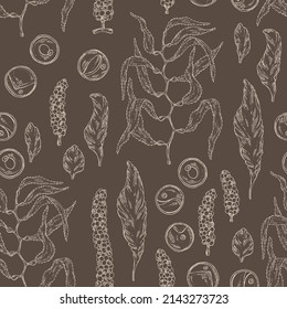 Seamless pattern with seaweed, algae: chlorella, macrocystis seaweed, caulerpa, sea grapes, aonori, monostroma. Green, brown and red algae. Edible seaweed. Vector hand drawn illustration