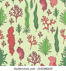 Seamless pattern with seaweed, algae: laminaria, porphyra seaweed, irish moss, wakame, undaria pinnate seaweed. Green, brown and red algae. Edible seaweed. Vector hand drawn illustration