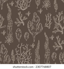 Patrón sin foco con algas y algas: laminaria, algas ulva, cladosiphon okamuranus, fitophora nervosa. Algas verdes, marrones y rojas. Algas comestibles. Ilustración dibujada a mano por el vector