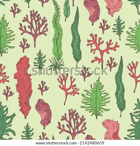 Seamless pattern with seaweed, algae: laminaria, porphyra seaweed, irish moss, wakame, undaria pinnate seaweed. Green, brown and red algae. Edible seaweed. Vector hand drawn illustration